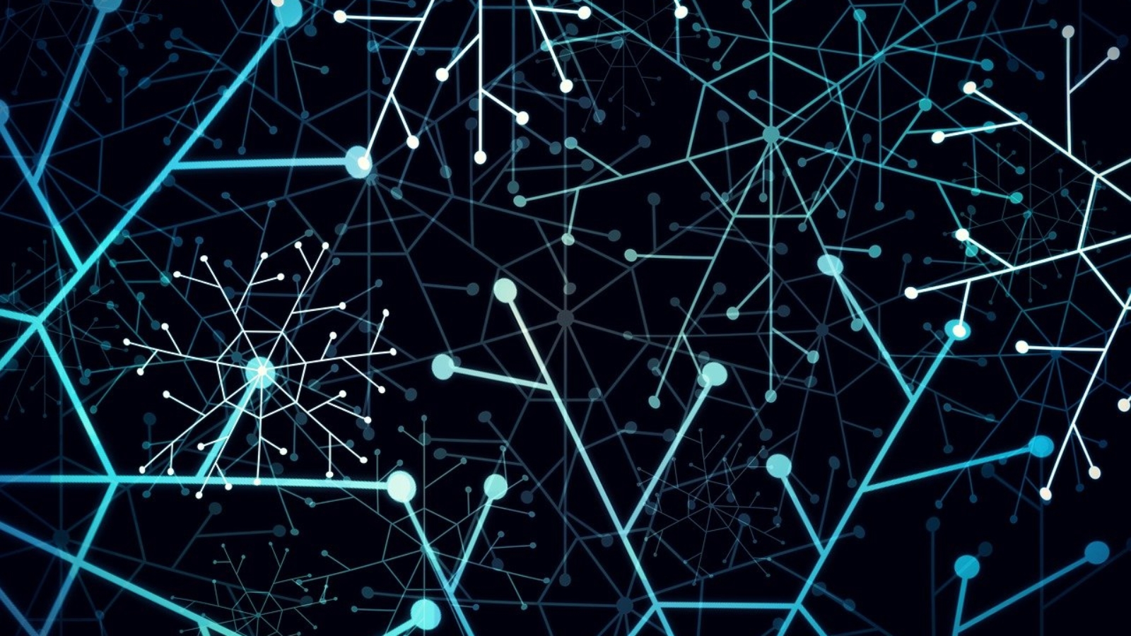 network-6088549_1280